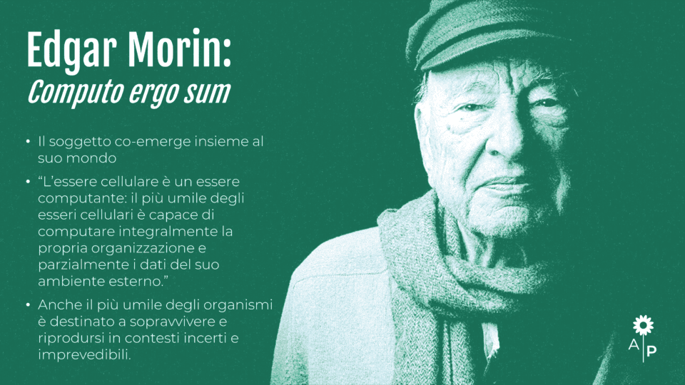 Edgar Morin _ Alessandra Pistillo Studio